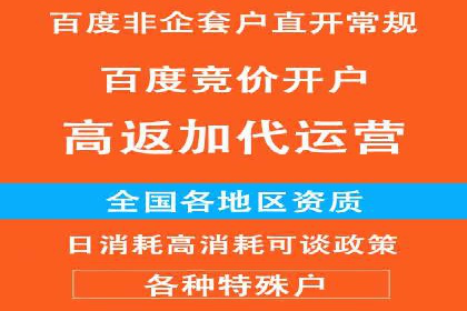 SEM推广优化实战：案例分析与启示